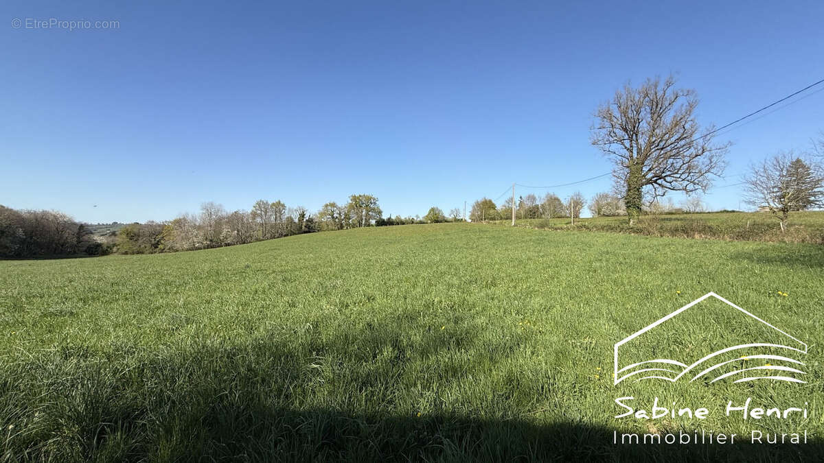 Maison 115 m² à Jouqueviel  - photo 6