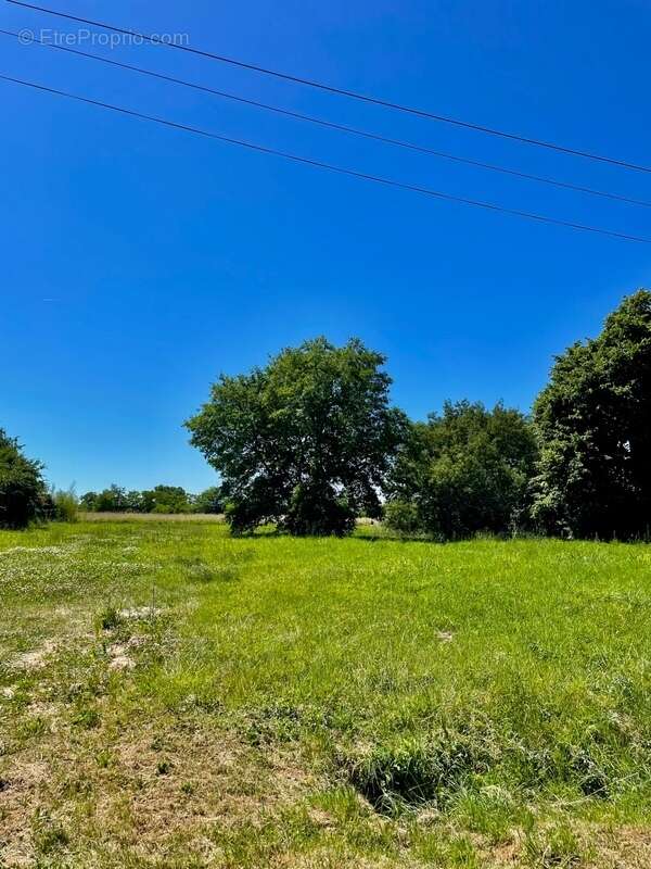 Terrain plat viabilisé 914 m² – Accès rapide Toulouse/Montauban-Bressols (82370) - photo 5
