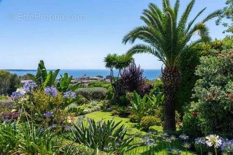 Maison 250 m² à Cannes  - photo 3
