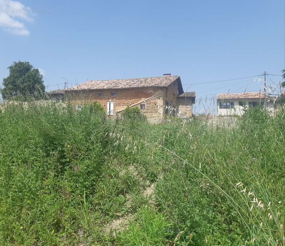 Terrain à GRISOLLES