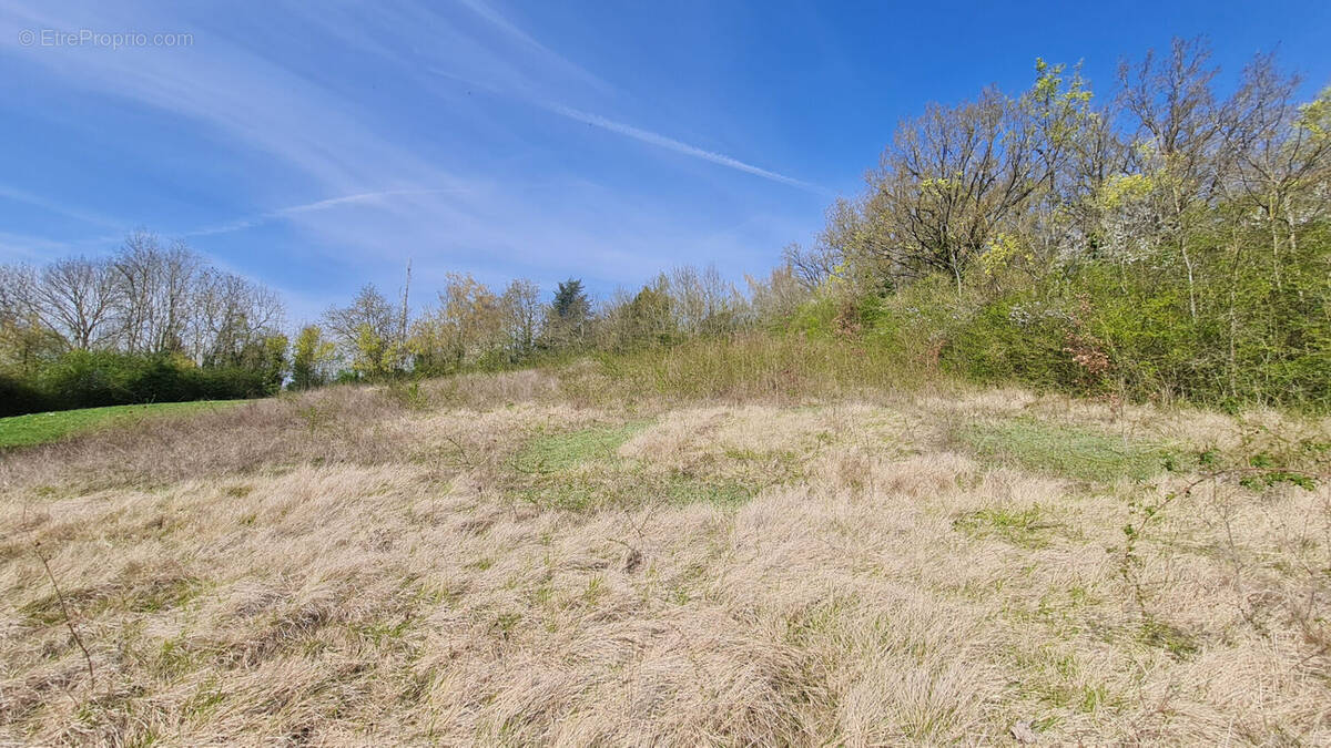 Terrain à GALLARDON