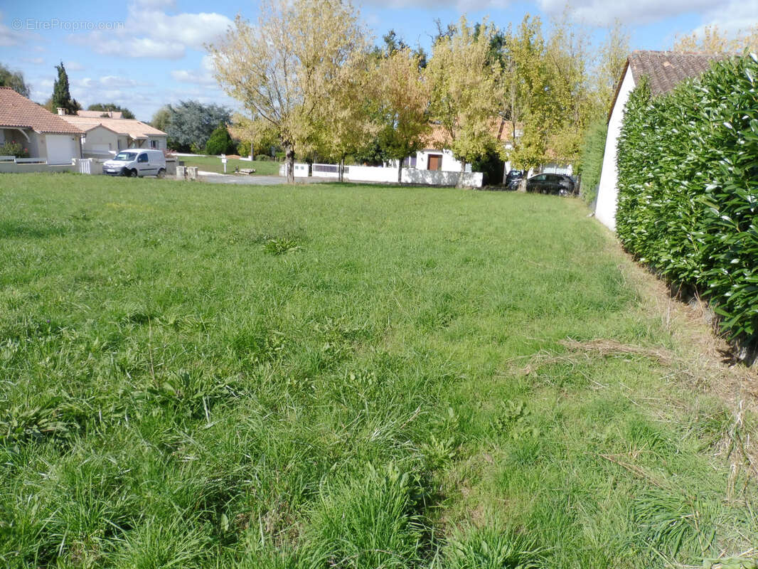 Terrain à RIBERAC