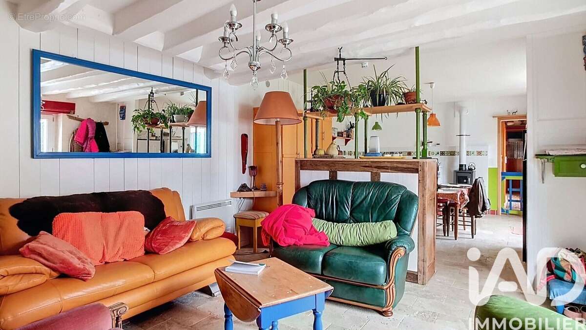 Photo 5 - Maison à OUZOUER-SUR-TREZEE