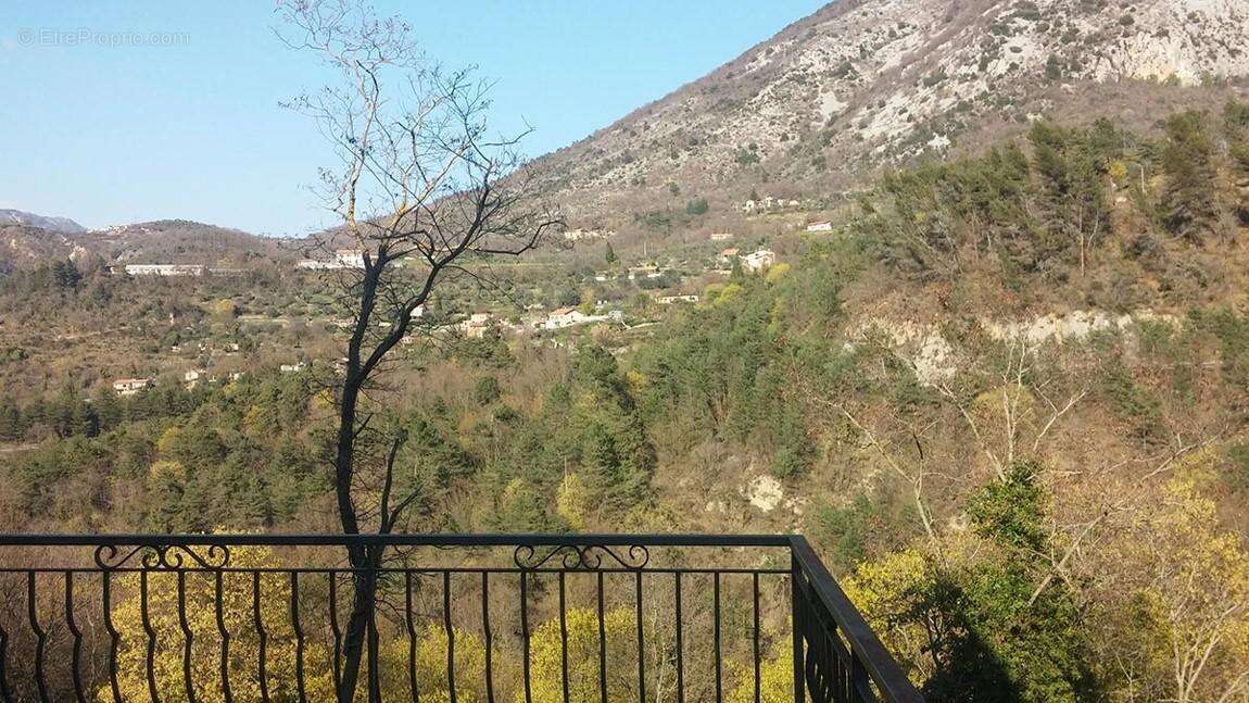 Vente terrain 25 ha, villa, source d'eau exploitable - photo 2