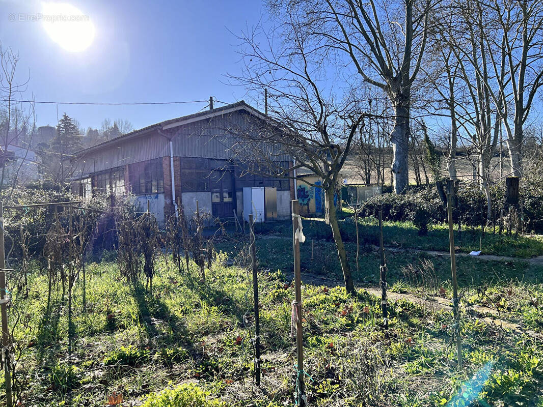Commerce à LACROIX-FALGARDE