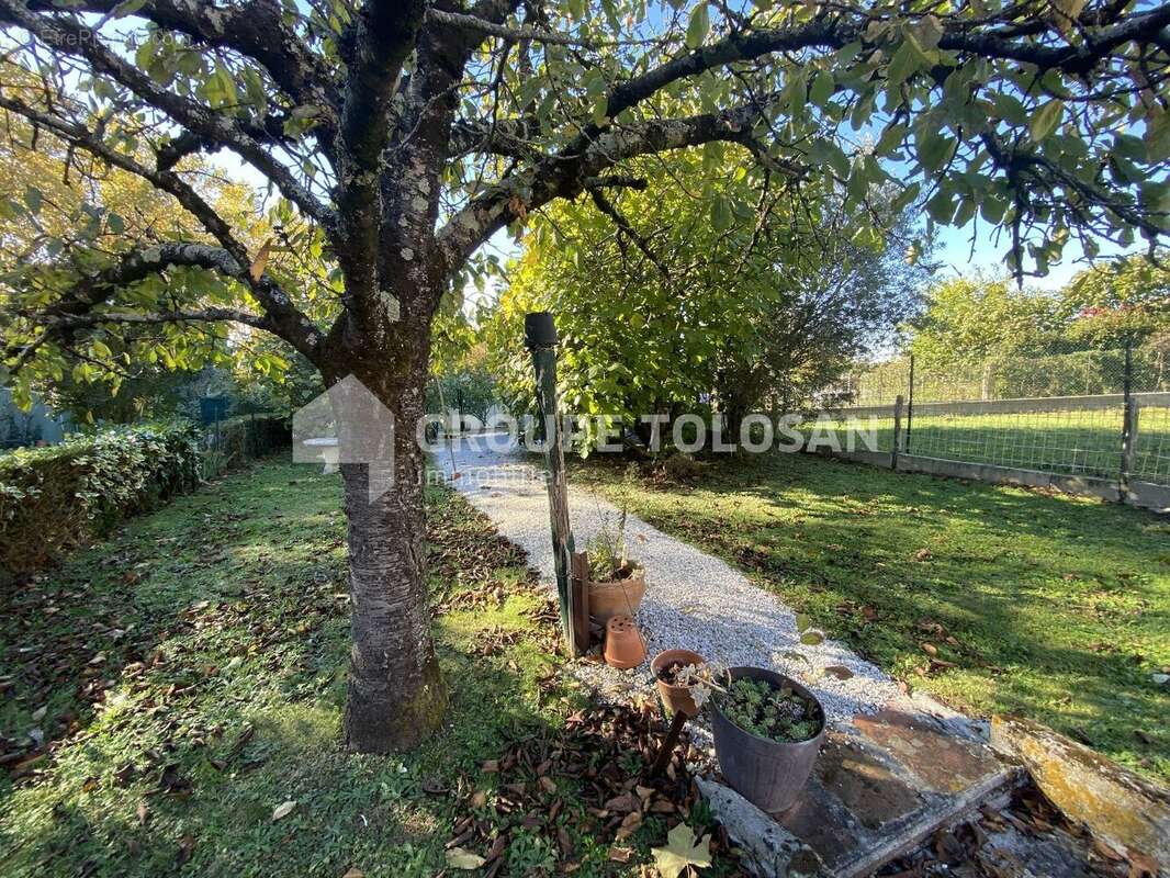 Maison à VILLEFRANCHE-DE-LAURAGAIS