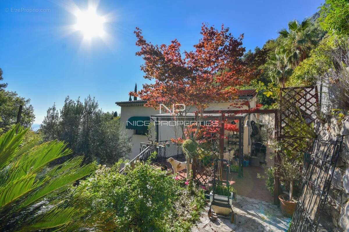 Maison à ROQUEBRUNE-CAP-MARTIN