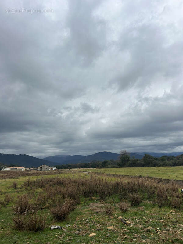 Terrain à GHISONACCIA