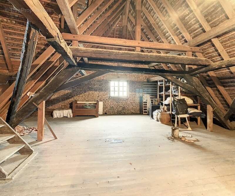 Maison à REININGUE