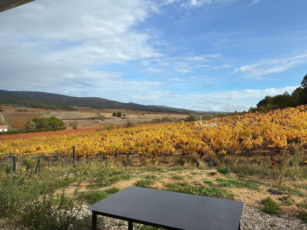 Maison à VILLENEUVE-MINERVOIS