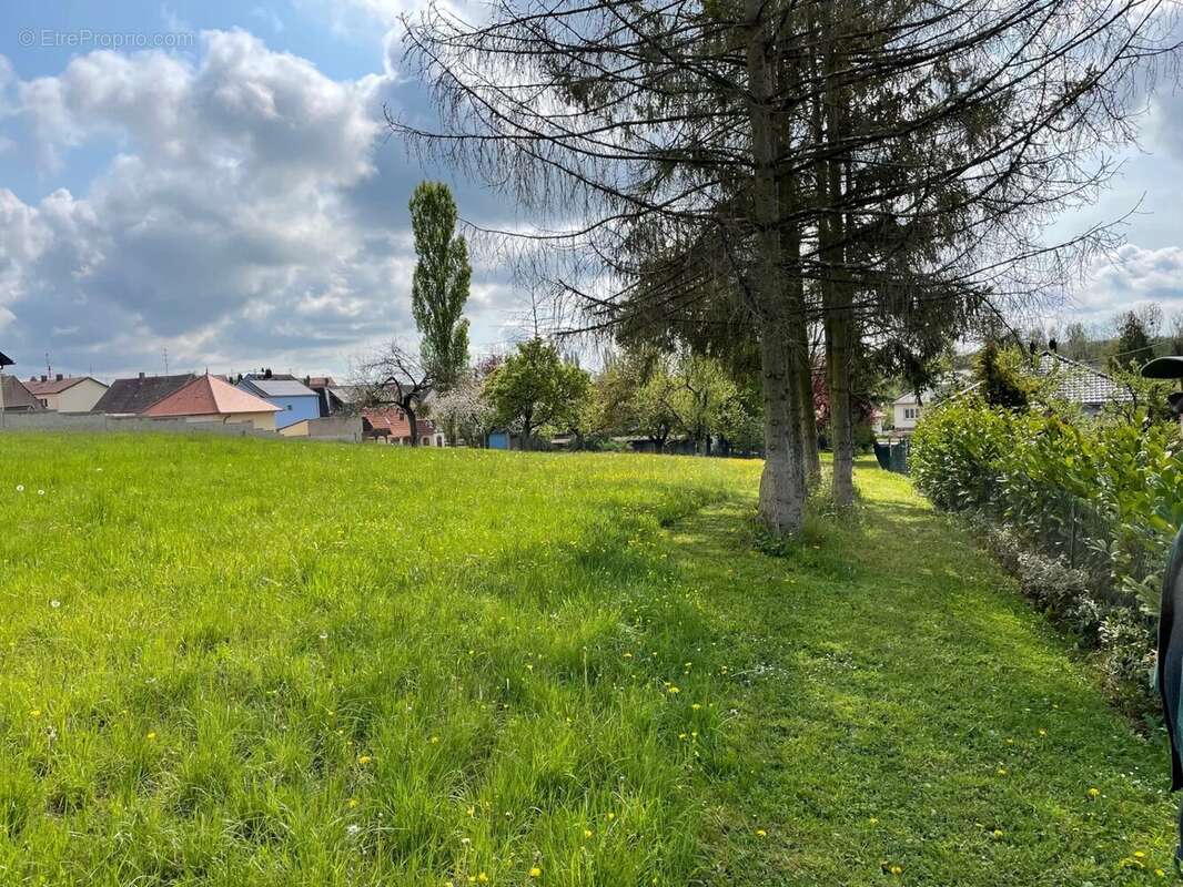 Terrain à STEINBOURG