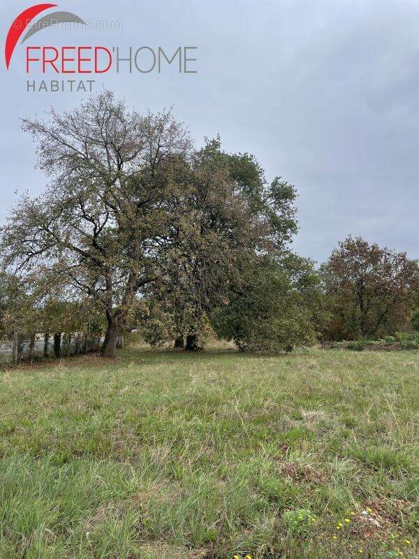 Terrain à AMBARES-ET-LAGRAVE