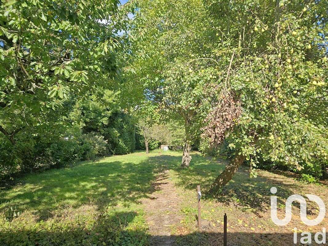 Photo 9 - Maison à CHAMPIGNY-SUR-MARNE