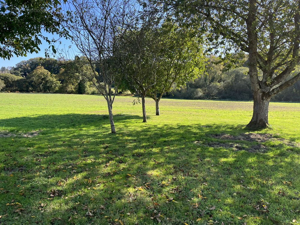 Maison à SAINT-NICOLAS-DU-PELEM