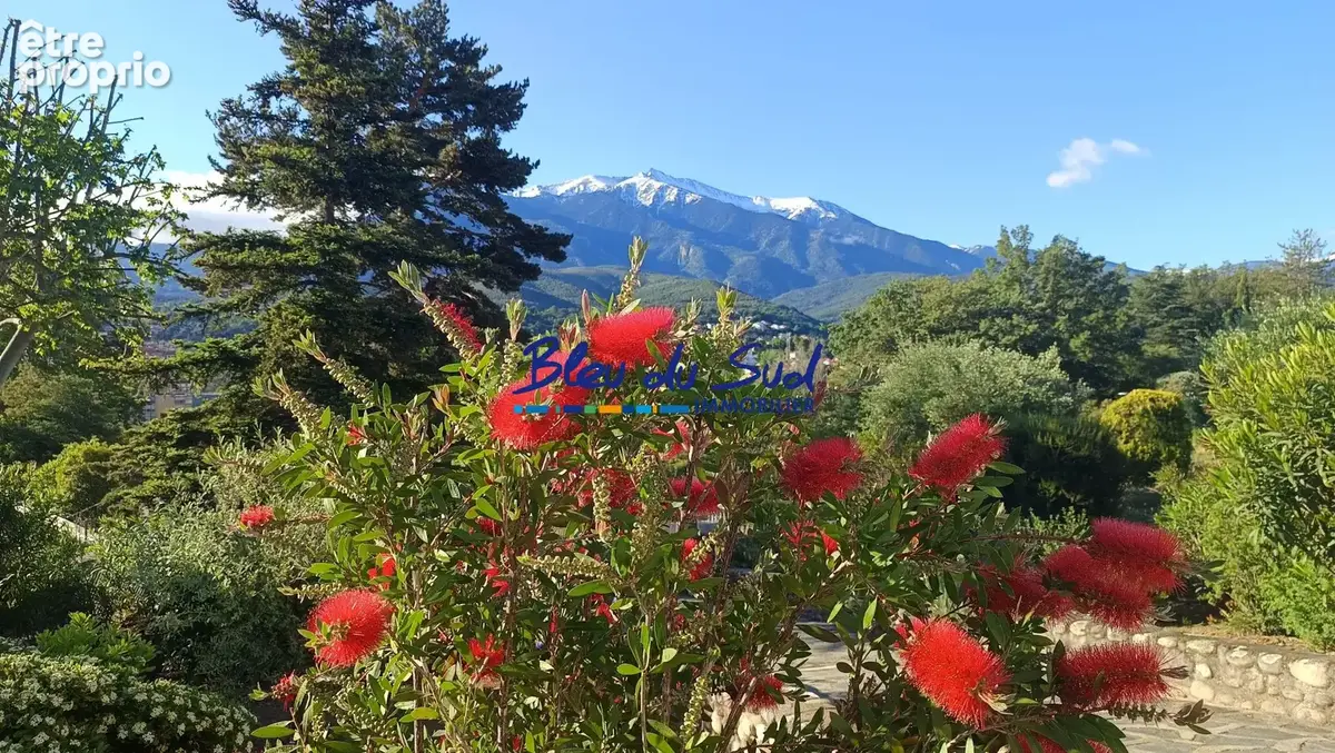 Vue depuis le jardin