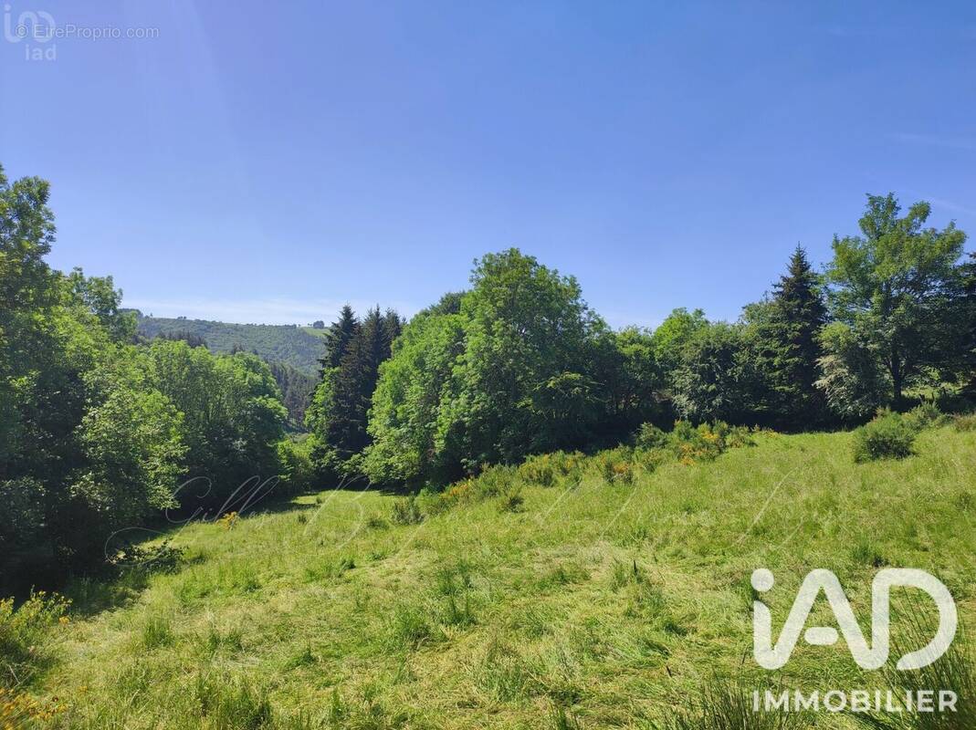 Photo 1 - Terrain à AUMONT-AUBRAC