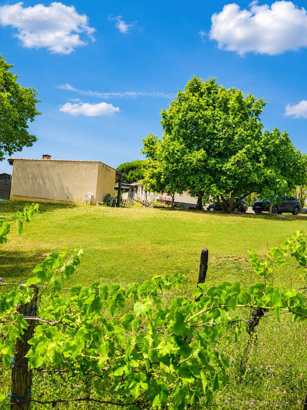 Un écrin de tranquillité a castelnau d'estretefonds - photo 12