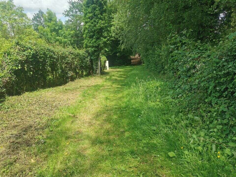 Photo 2 - Terrain à JOLIMETZ