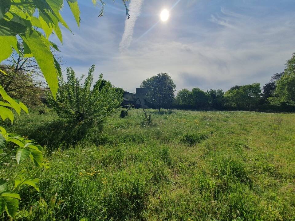 Terrain à AIGUES-VIVES