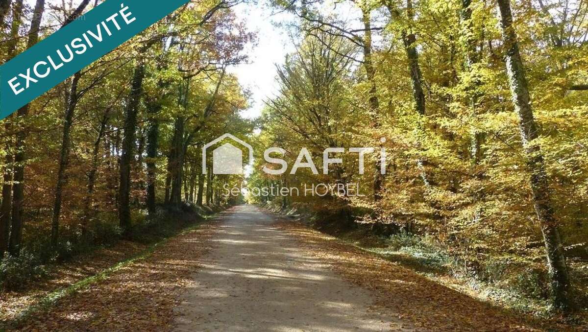 Photo 5 - Terrain à PIBRAC