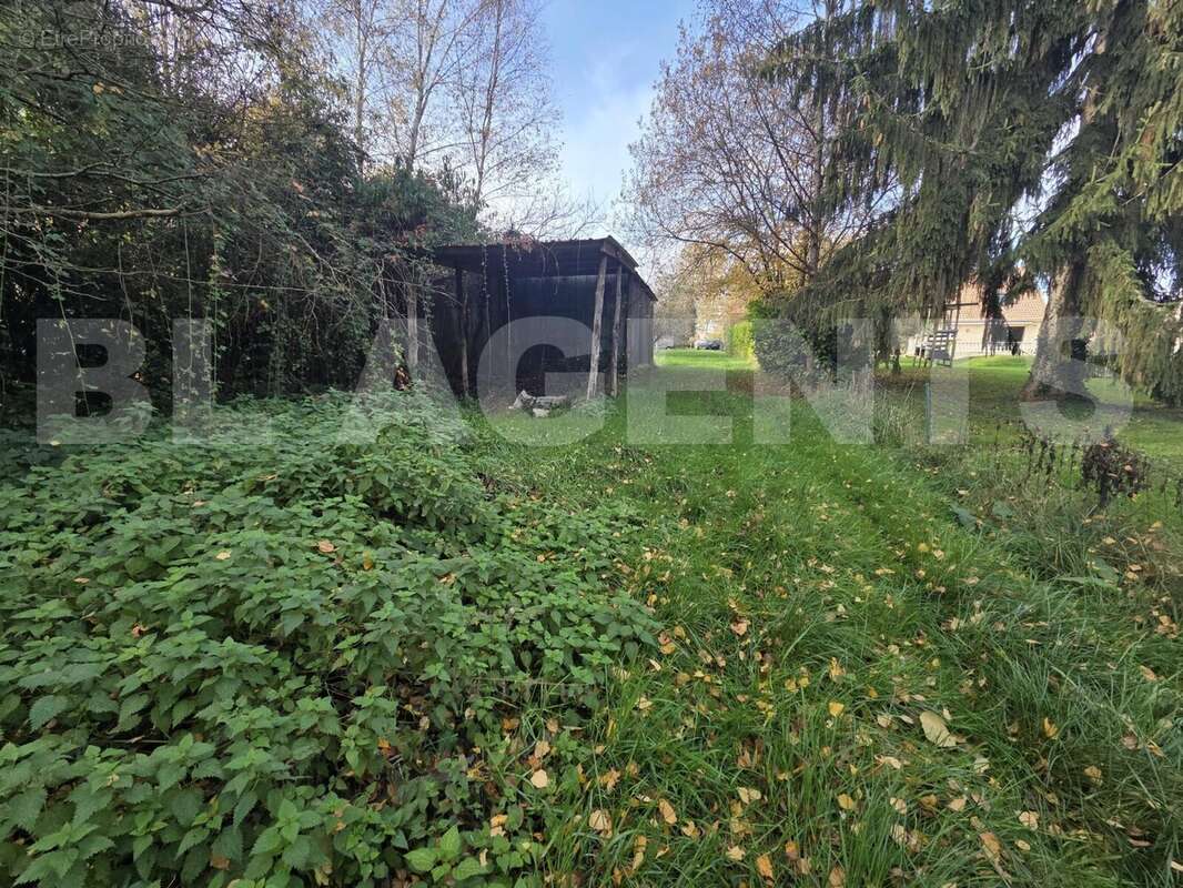 20251113_142424 - Terrain à CERANS-FOULLETOURTE