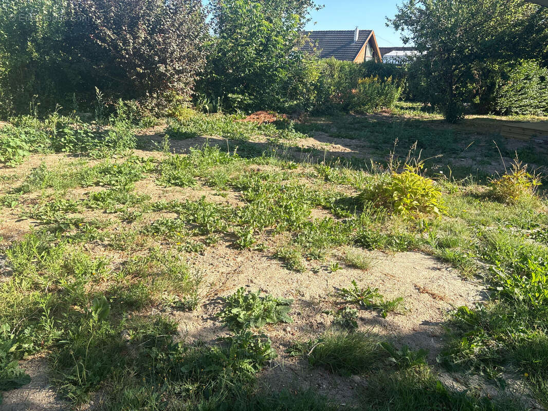 Maison individuelle à Groffliers - photo 27
