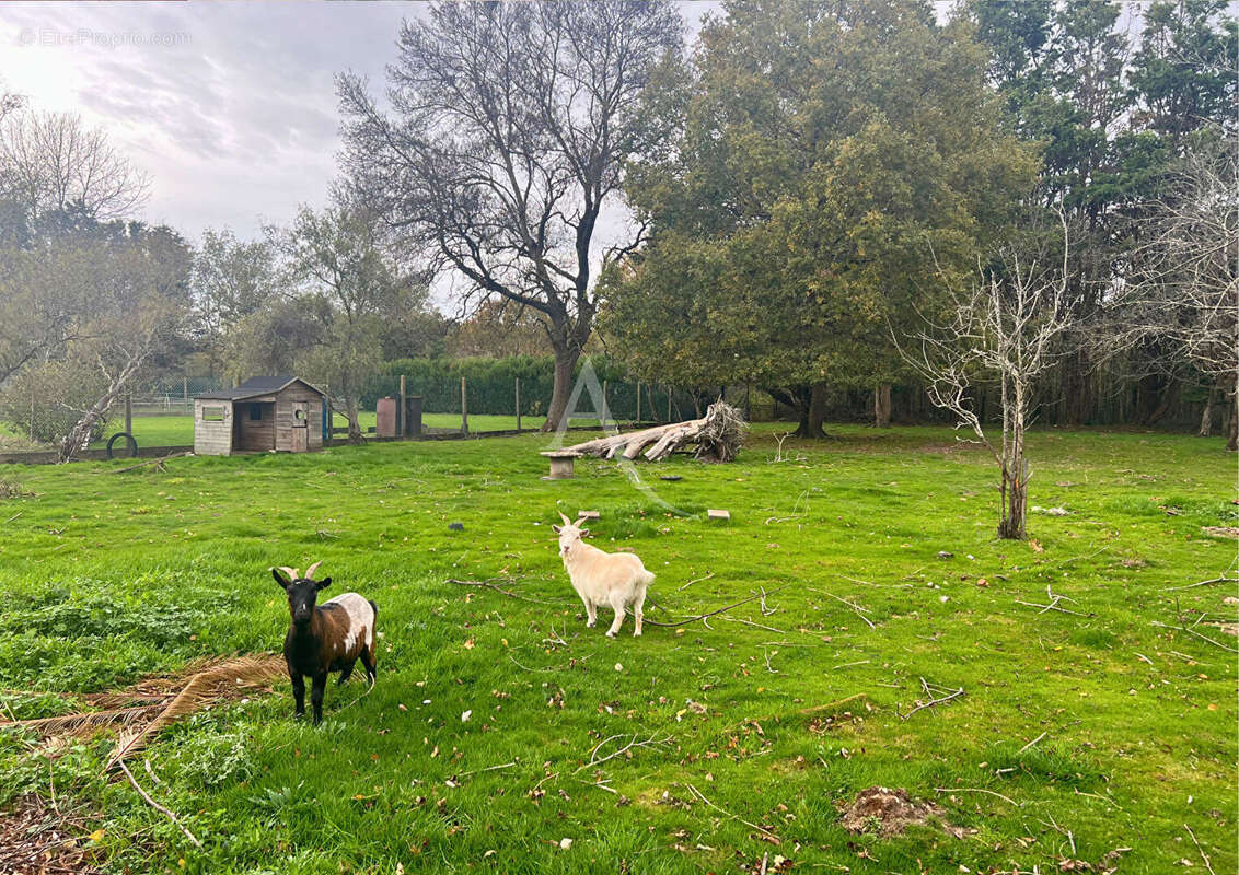 Maison à SAINT-GERVAIS