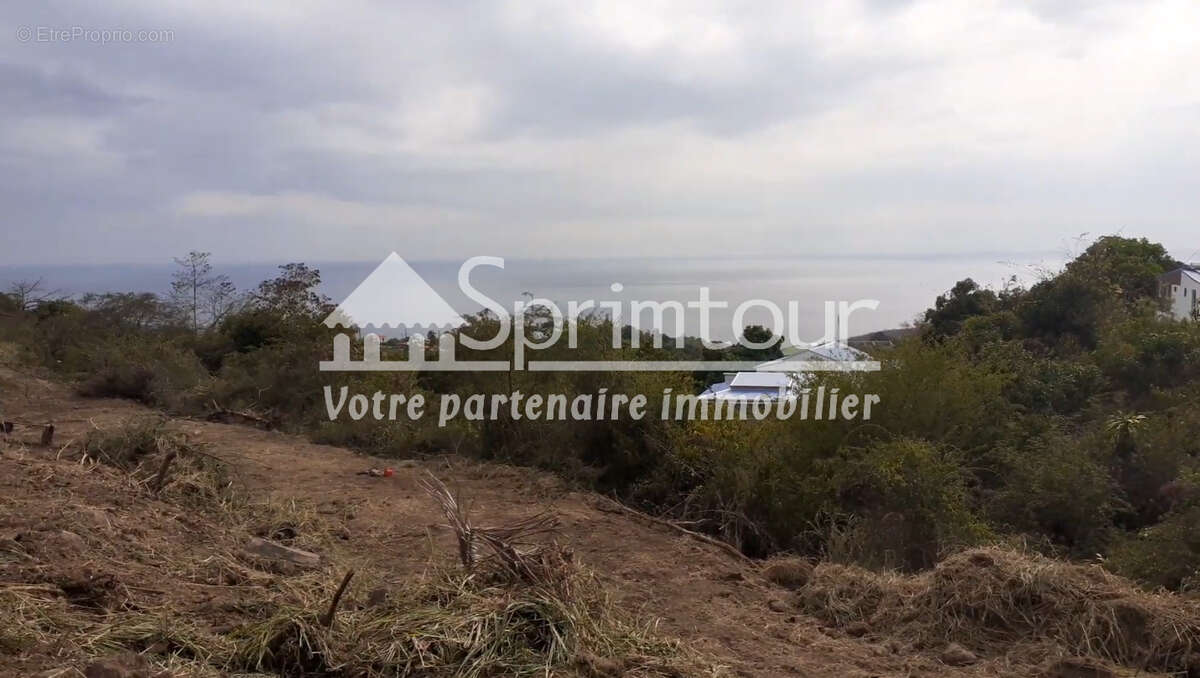 Terrain à VIEUX-HABITANTS