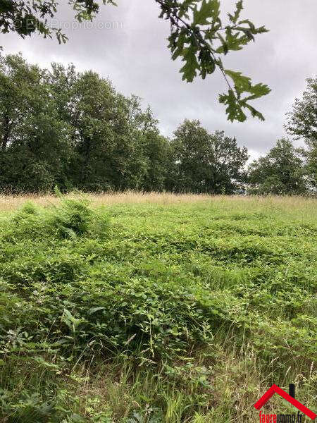 Terrain à CHABRIGNAC
