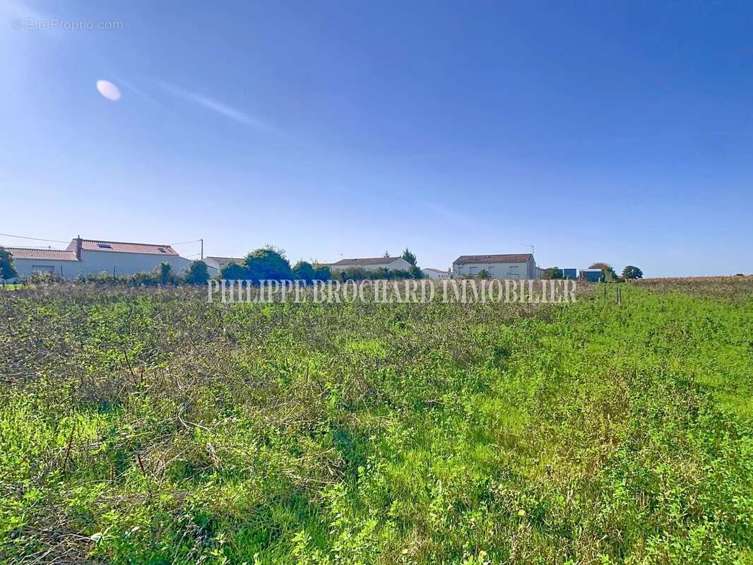 Terrain à MOUZEUIL-SAINT-MARTIN