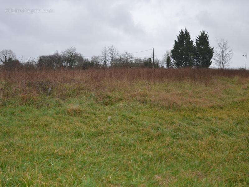 Terrain à GOURS