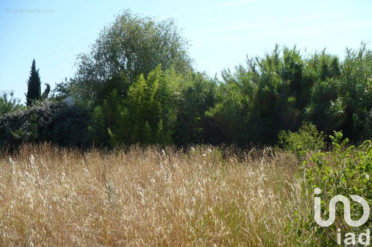 Photo 1 - Terrain à MANOSQUE