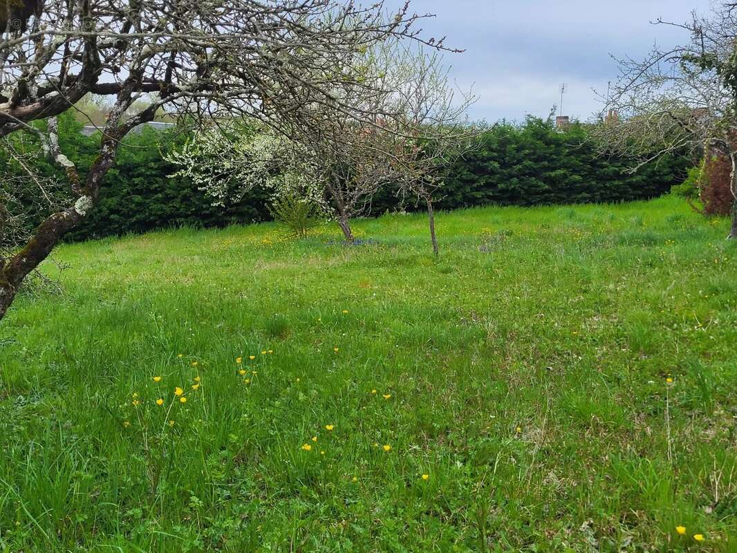 Maison à TOURNON-SAINT-PIERRE