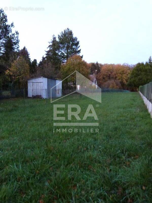 Terrain à VILLERS-COTTERETS