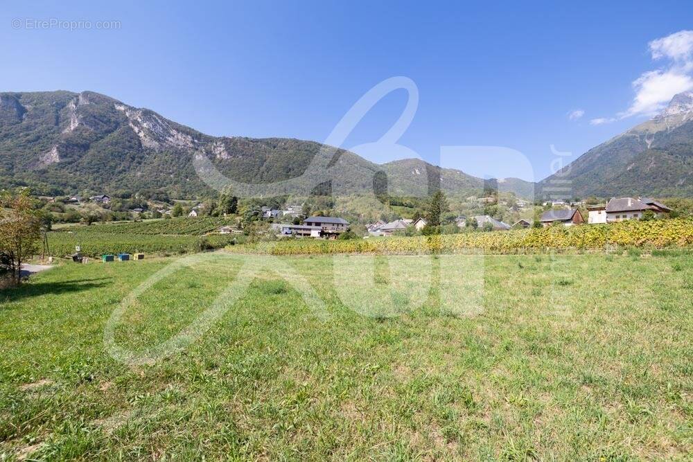 Terrain viabilisé (Lot 8) - Terrain à SAINT-PIERRE-D&#039;ALBIGNY