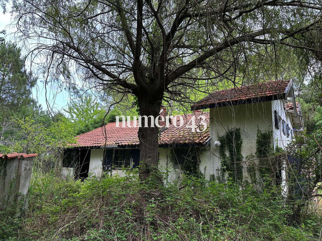 Maison à VENDAYS-MONTALIVET