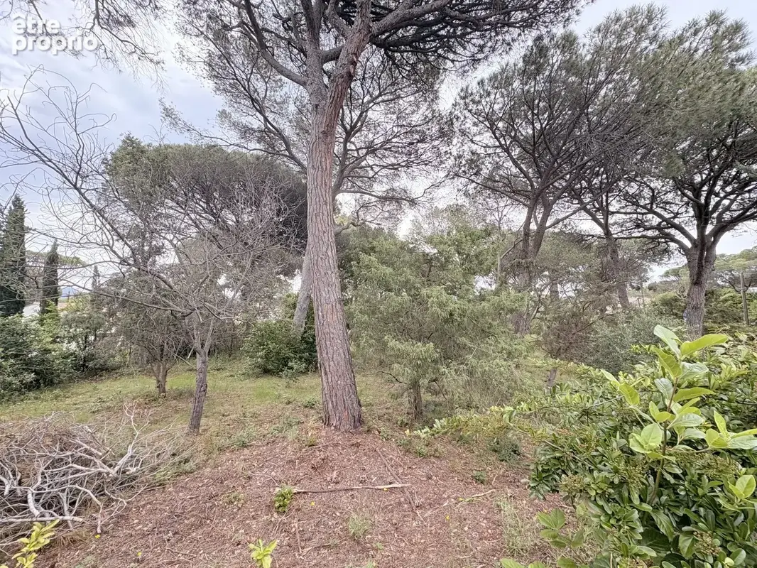 Terrain 1 320 m² à vendre à Saint-Raphael (83700) - photo 4
