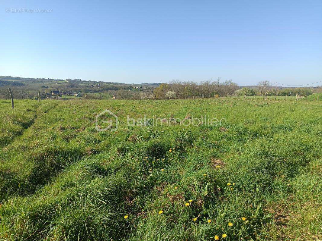  Plus d'un hectare de liberté à Nailhac : Terrain XXL avec double zone constructible ! - photo 3