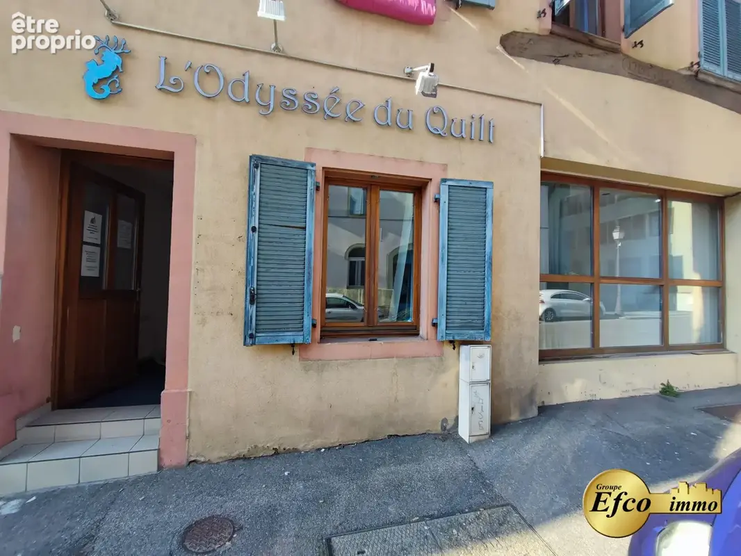 Commerce 54 m² à vendre à Altkirch (68130) - photo 2