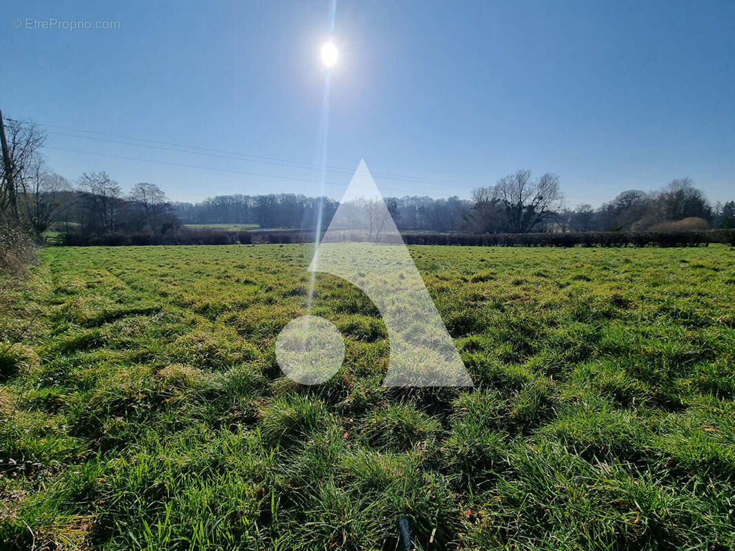 Terrain à SAINT-VALLIER