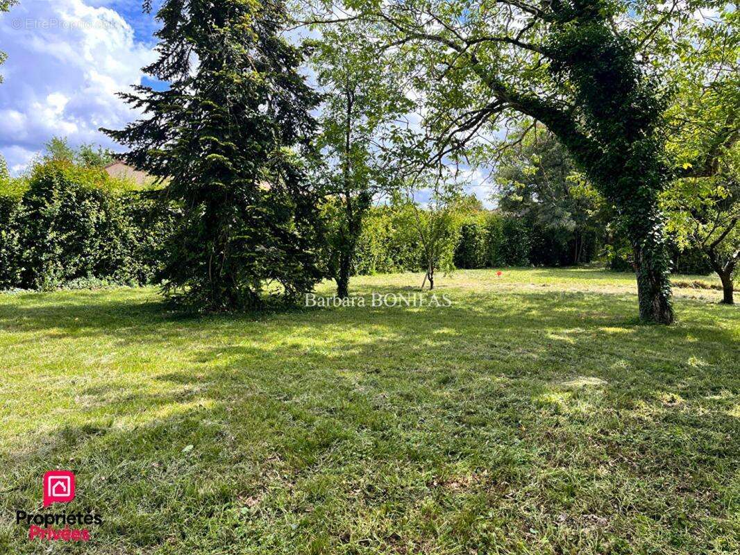 Terrain à COUFOULEUX