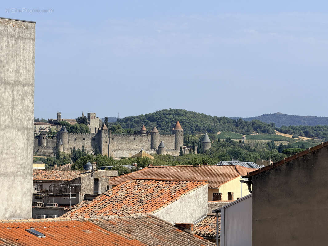 T4 carcassonne - photo 13