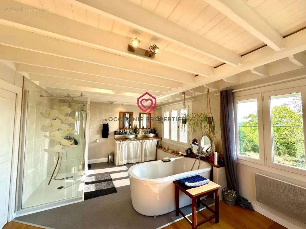 Magnifique ferme avec piscine, dépendances, lac et 6,2 hectares de terrain proche Miélan Gers - photo 33