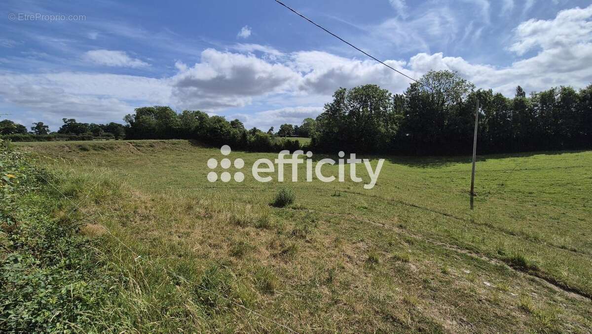 Maison ancienne - photo 26