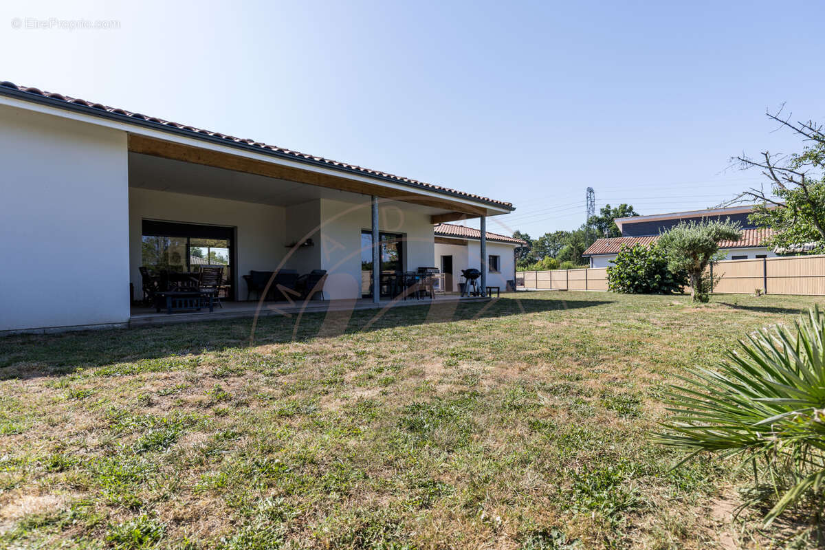 Attention, bien rare aux portes de Mont-de-Marsan… - photo 3