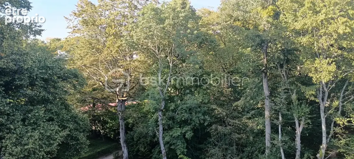 Appartement lumineux de 4 chambres avec vue sur la nature - photo 24