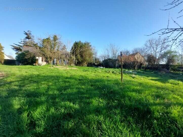Terrain 882 m² à Muneville-Sur-Mer  - photo 2