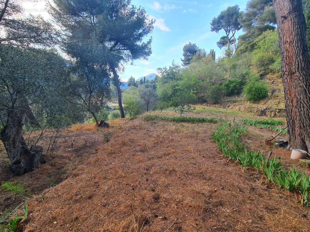 Terrain à MENTON