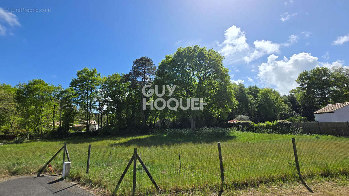 Terrain à SAINT-HILAIRE-DE-RIEZ