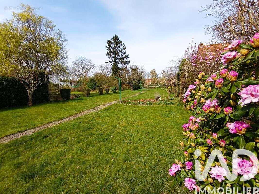 Photo 2 - Maison à VILLENEUVE-D'ASCQ